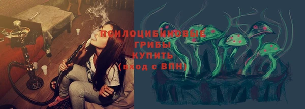 крисы Нязепетровск
