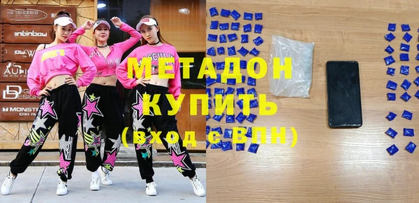 гашик Няндома