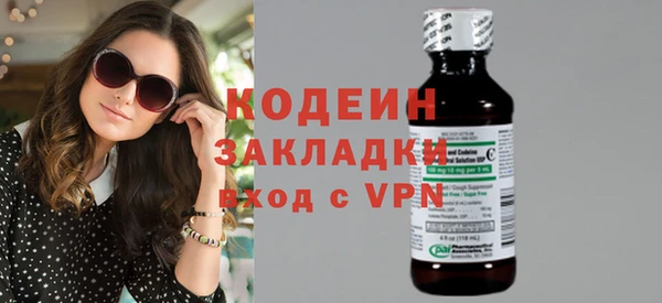 гашик Няндома