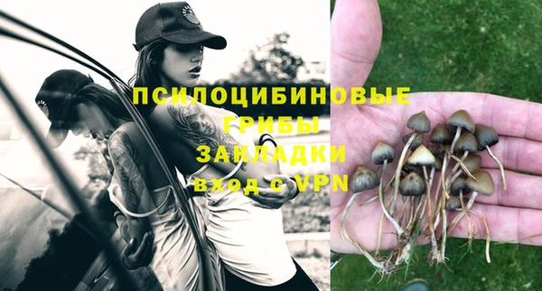 а пвп мука Новозыбков