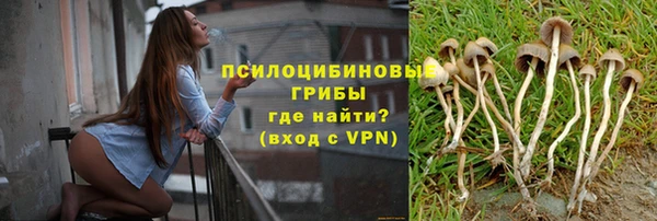 гашик Няндома