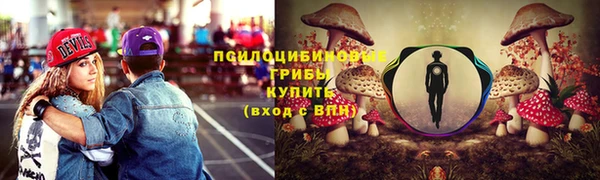 а пвп мука Новозыбков