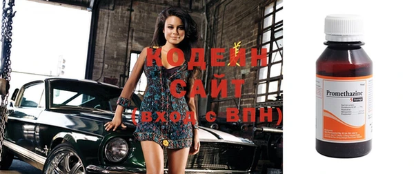 гашик Няндома