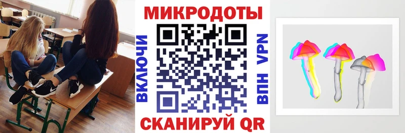 где можно купить наркотик  Кинель  Галлюциногенные грибы Psilocybe 