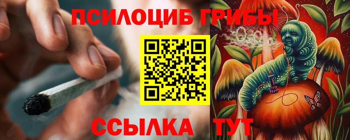 даркнет сайт  Вход с VPN  Псилоцибиновые грибы ЛСД  Кинель  Псилоцибиновые грибы Psilocybine cubensis 