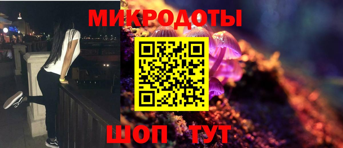 Галлюциногенные грибы Cubensis Кинель