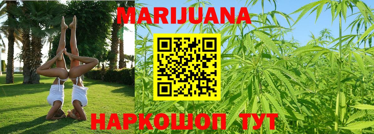 Конопля тримм  Кинель  Конопля планчик  Каннабис конопля 